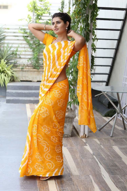 Actress Ashima Narwal Beautiful Stills In Transparent Yellow Saree 57